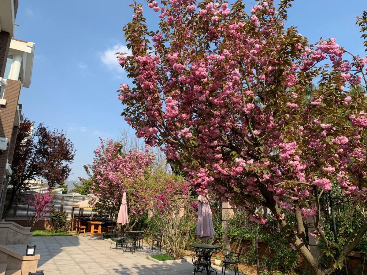 Floral Hotel - Begonia Villa Qingdao Eksteriør bilde